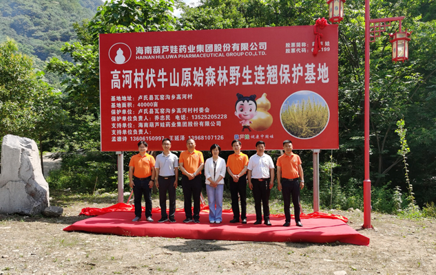 df1228e8-f9af-4424-a1fc-3e751f3cf46b_1641300181